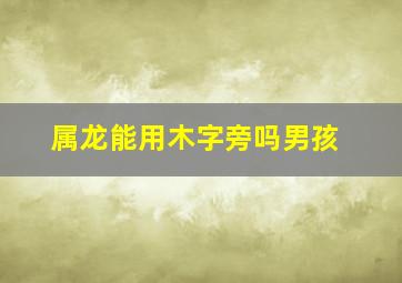 属龙能用木字旁吗男孩