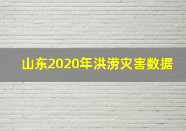 山东2020年洪涝灾害数据