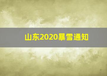 山东2020暴雪通知