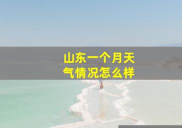 山东一个月天气情况怎么样