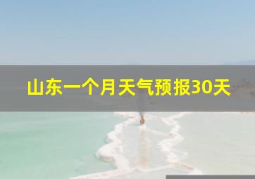 山东一个月天气预报30天