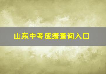 山东中考成绩查询入口