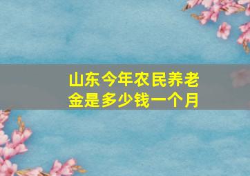 山东今年农民养老金是多少钱一个月