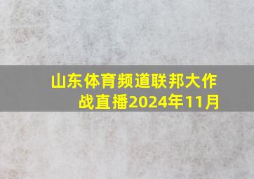 山东体育频道联邦大作战直播2024年11月