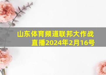 山东体育频道联邦大作战直播2024年2月16号