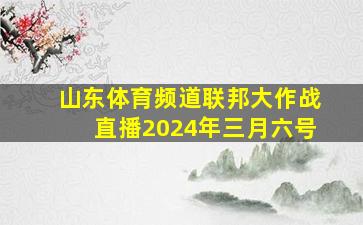 山东体育频道联邦大作战直播2024年三月六号