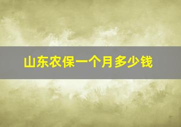 山东农保一个月多少钱