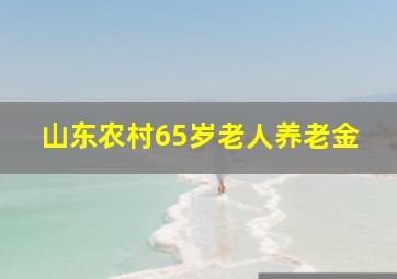 山东农村65岁老人养老金