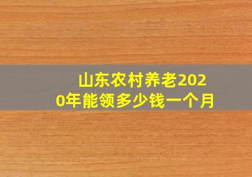 山东农村养老2020年能领多少钱一个月