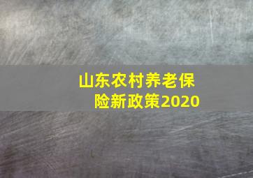 山东农村养老保险新政策2020