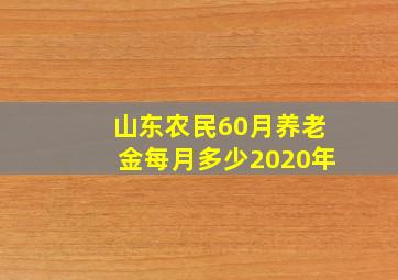 山东农民60月养老金每月多少2020年