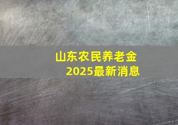 山东农民养老金2025最新消息