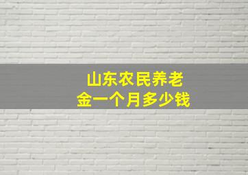 山东农民养老金一个月多少钱