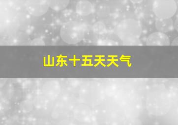 山东十五天天气