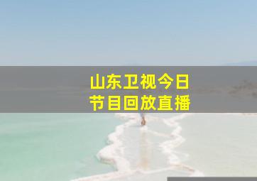 山东卫视今日节目回放直播