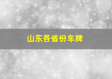 山东各省份车牌