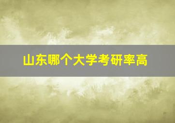 山东哪个大学考研率高