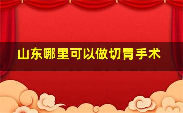 山东哪里可以做切胃手术