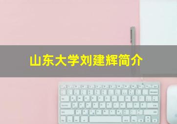 山东大学刘建辉简介