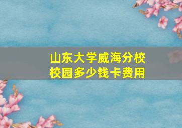 山东大学威海分校校园多少钱卡费用