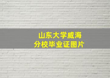 山东大学威海分校毕业证图片