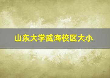 山东大学威海校区大小