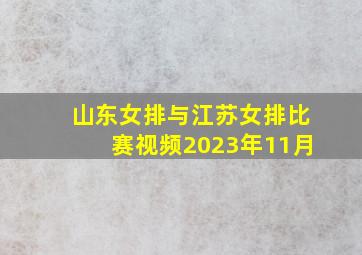 山东女排与江苏女排比赛视频2023年11月