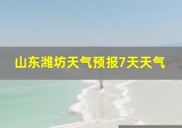 山东潍坊天气预报7天天气