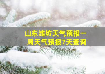 山东潍坊天气预报一周天气预报7天查询