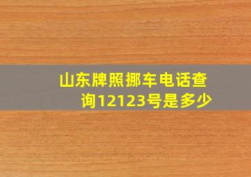 山东牌照挪车电话查询12123号是多少