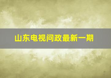 山东电视问政最新一期