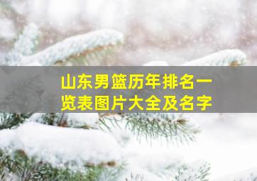 山东男篮历年排名一览表图片大全及名字