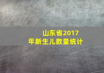 山东省2017年新生儿数量统计