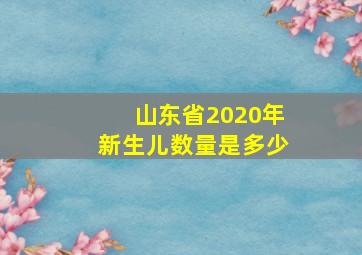 山东省2020年新生儿数量是多少