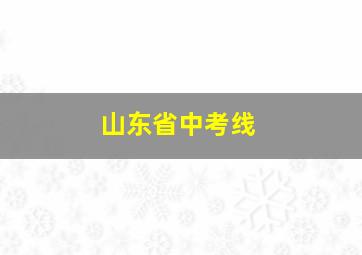 山东省中考线