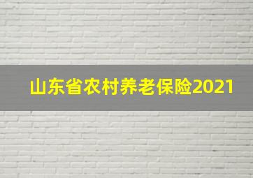 山东省农村养老保险2021