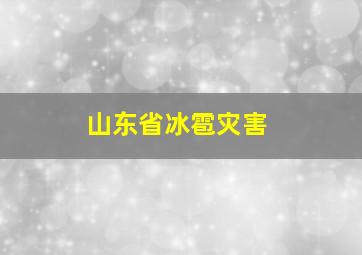 山东省冰雹灾害