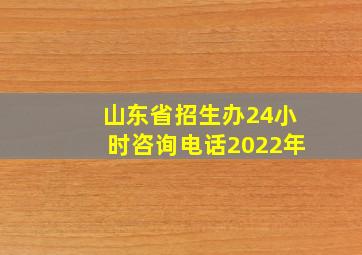 山东省招生办24小时咨询电话2022年