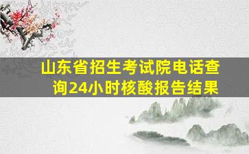 山东省招生考试院电话查询24小时核酸报告结果