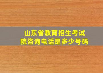 山东省教育招生考试院咨询电话是多少号码