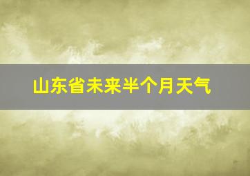 山东省未来半个月天气