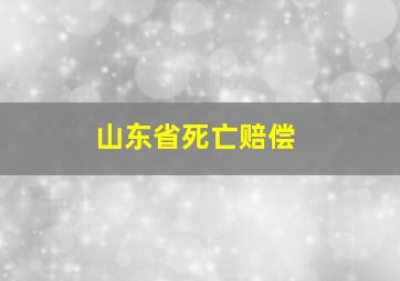 山东省死亡赔偿