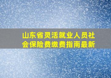 山东省灵活就业人员社会保险费缴费指南最新