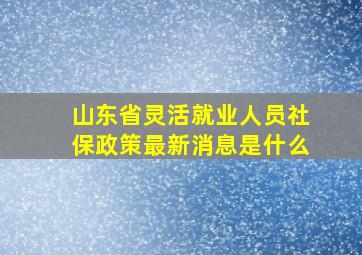 山东省灵活就业人员社保政策最新消息是什么