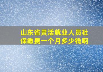 山东省灵活就业人员社保缴费一个月多少钱啊