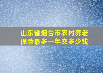 山东省烟台市农村养老保险最多一年交多少钱