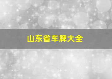 山东省车牌大全