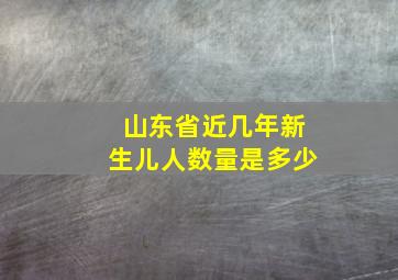 山东省近几年新生儿人数量是多少