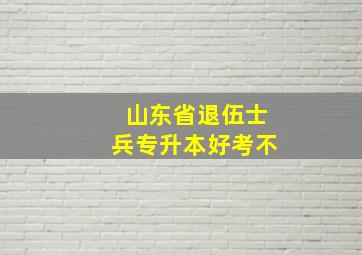 山东省退伍士兵专升本好考不