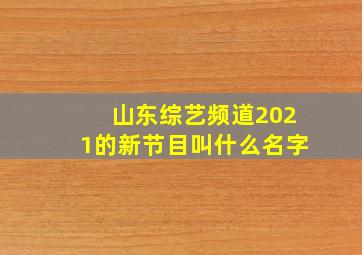 山东综艺频道2021的新节目叫什么名字